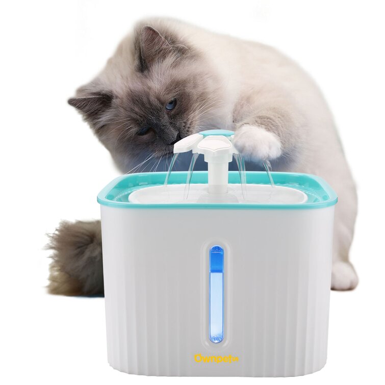 Cat automatic clearance water fountain